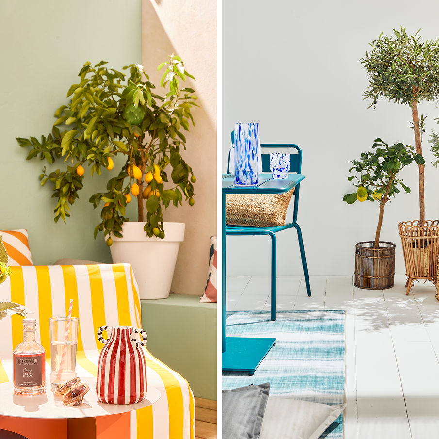 Citronniers en pot dans deux ambiances de terrasses