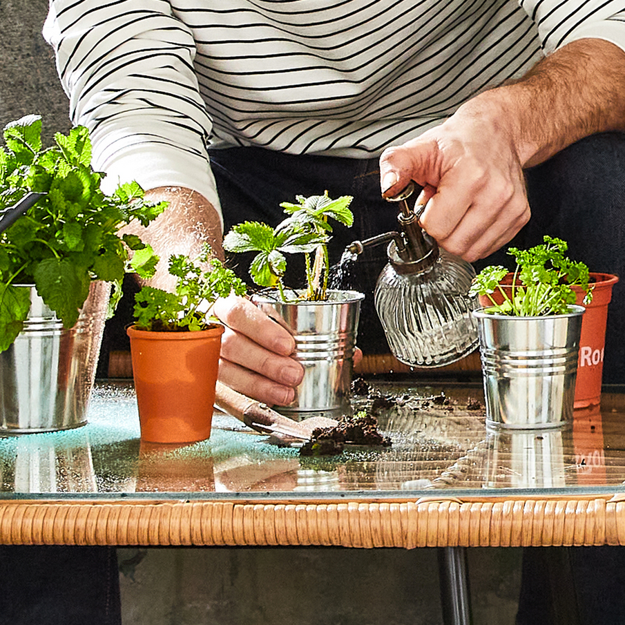 Zoom sur un homme vaporisant quatre plantes en pots