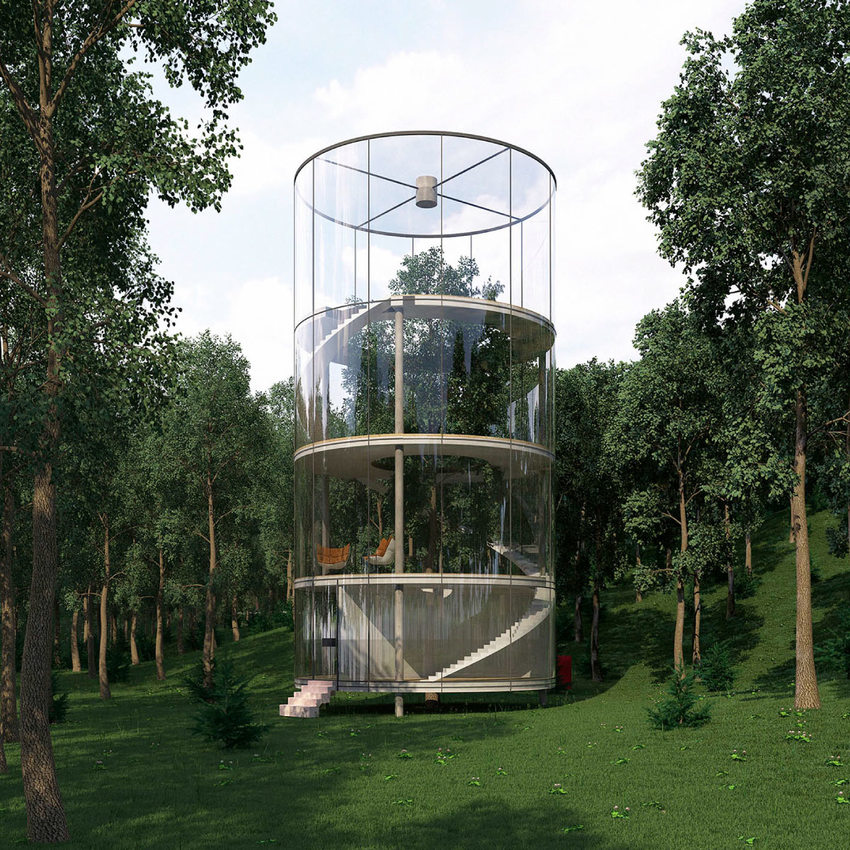 maison de verre autour d'un arbre