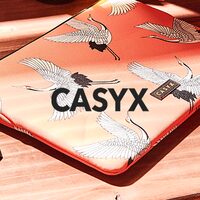 Casyx