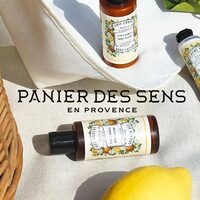 panirsdessens