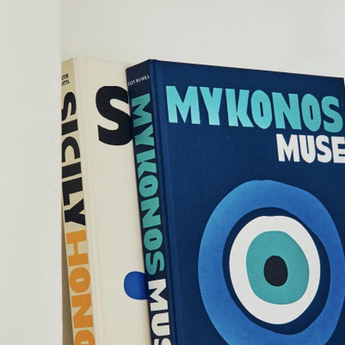 Livres de voyage Assouline 4murs