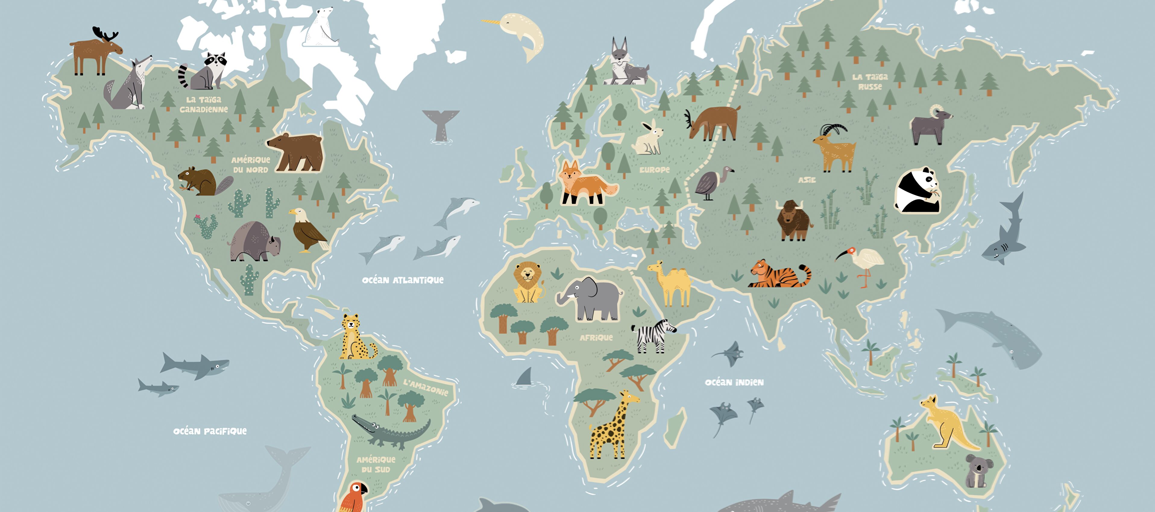 Collection enfant Carte des animaux 4MURS
