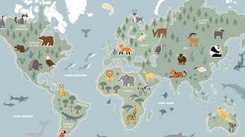 Collection enfant La carte des animaux