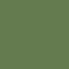 fond couleur vert