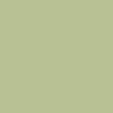 fond couleur orange