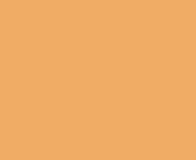 fond couleur orange