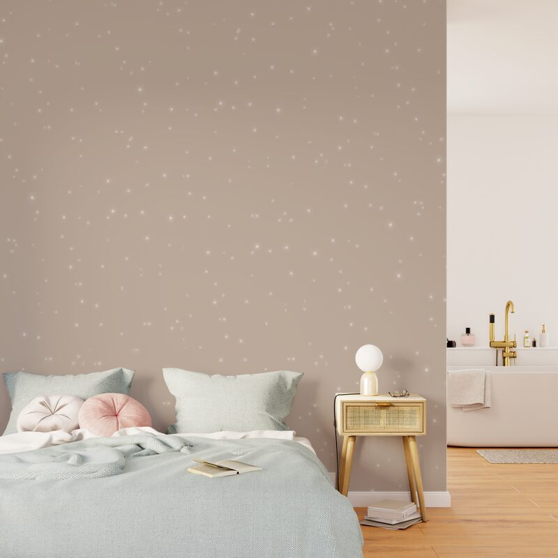 Peinture Décorative POUSSIÈRE D'ÉTOILES Acrylique Cassiopée Mat 2 L