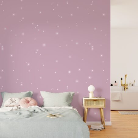 Peinture Décorative POUSSIÈRE D'ÉTOILES Acrylique Orion Mat 2 L