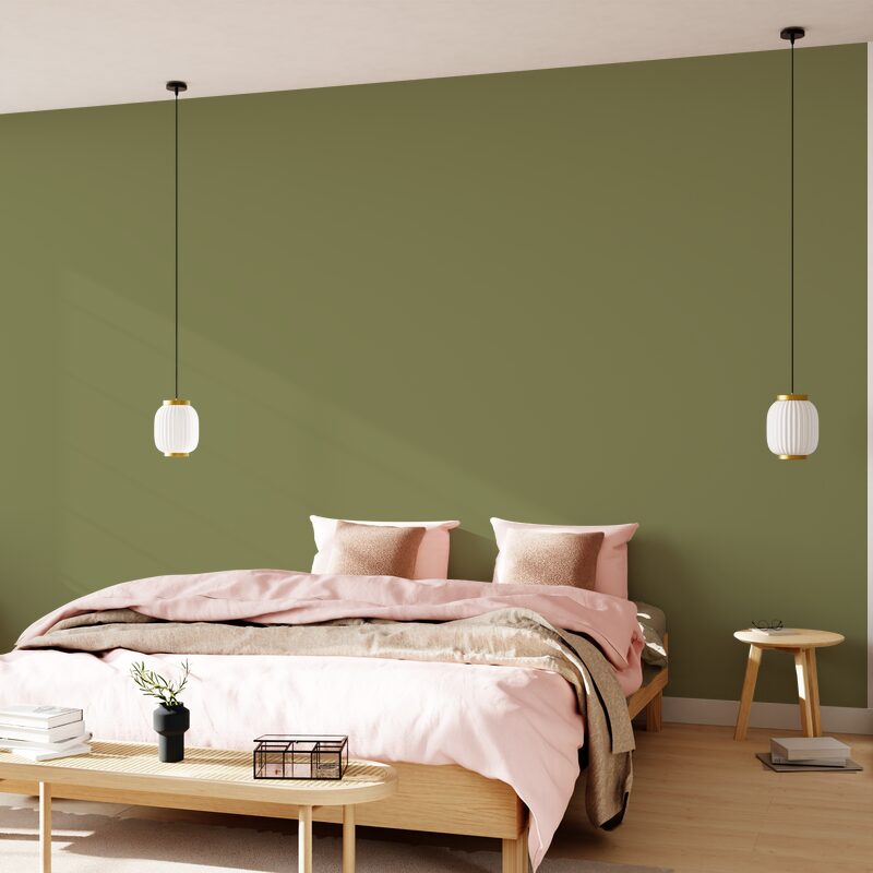 Peinture ABSOLU Acrylique olive Mat 2,5 L