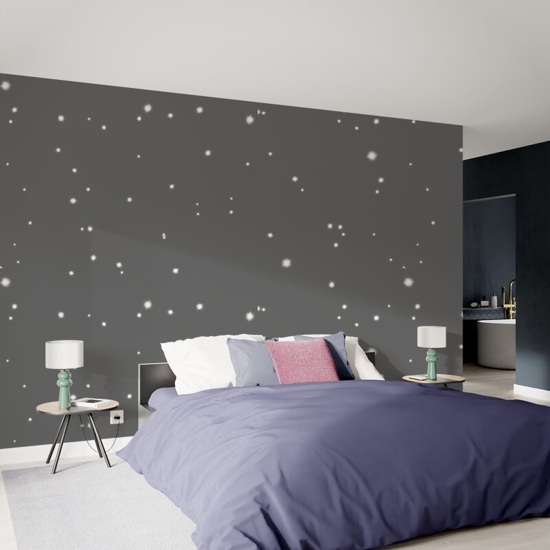Peinture POUSSIÈRE D'ÉTOILES Acrylique gris Canopus Mat 2 L