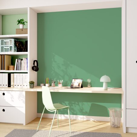 Peinture ECO Acrylique olive Satiné 2 L
