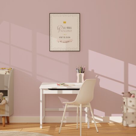 Peinture Multi-supports ABSOLU Acrylique rose poudré Mat 2,5 L