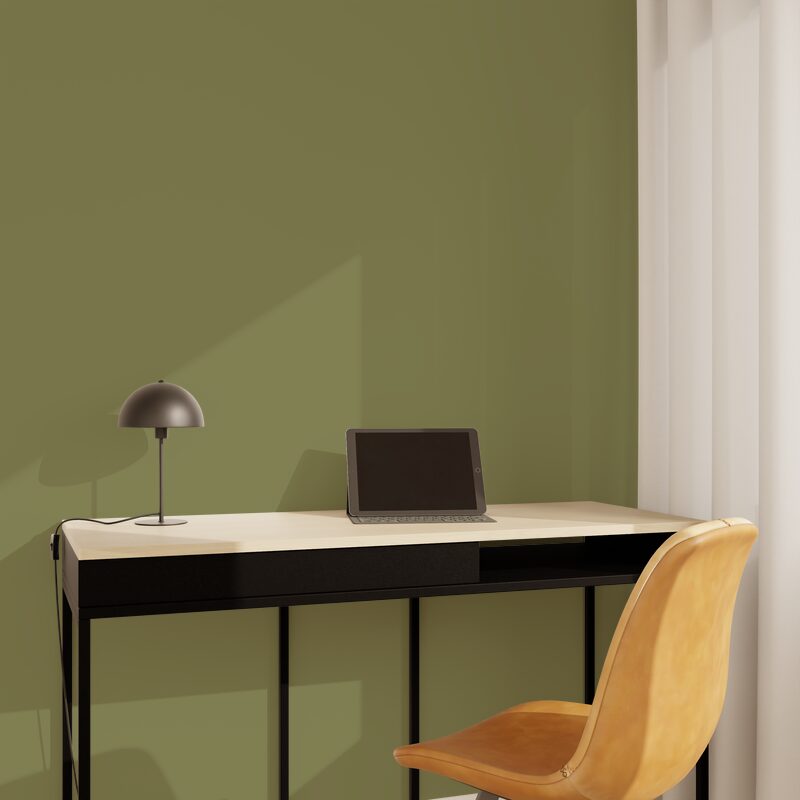 Peinture ABSOLU Acrylique olive Mat 0,5 L