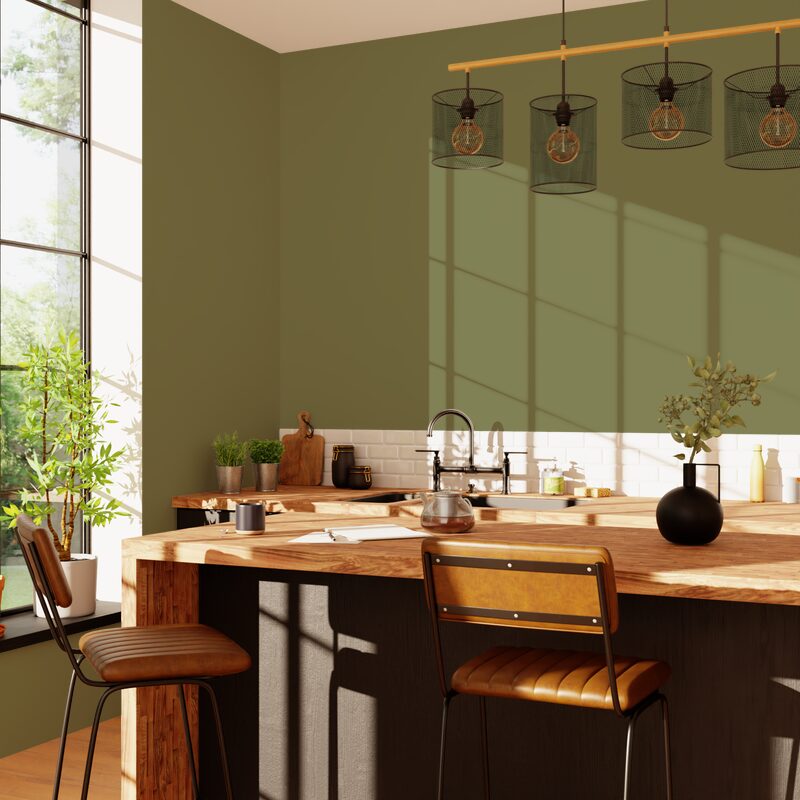Peinture ABSOLU Acrylique olive Mat 2,5 L