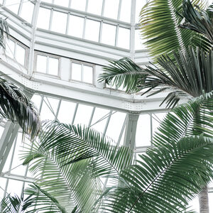 Oasis Urbain