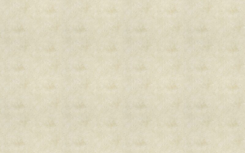Papier peint intissé SKIN coloris lin