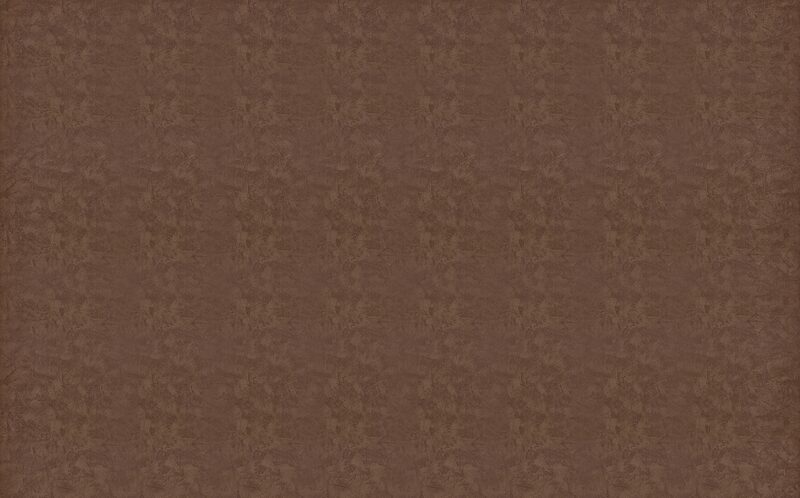 Papier peint intissé RAVENNE coloris chocolat