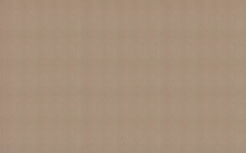 Papier peint intissé SCENARIA coloris cappuccino