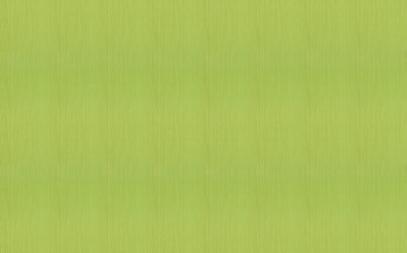 Papier peint FUNNY coloris vert anis