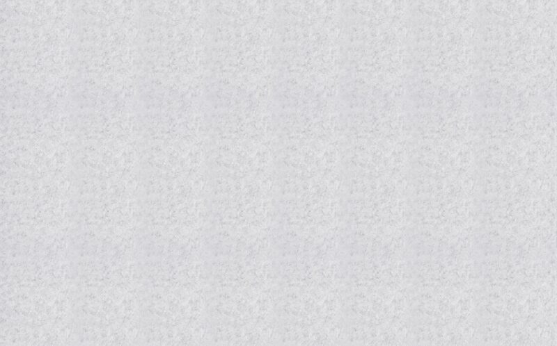 Papier peint VERNIA coloris gris perle