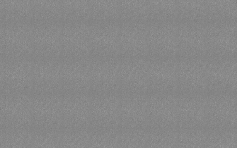 Papier peint intissé GOYA coloris argent