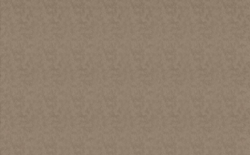 Papier peint vinyle ILITHYA coloris marron glacé