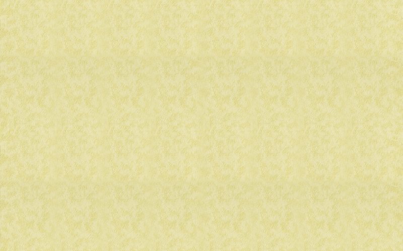 Papier peint vinyle ILITHYA coloris pistache