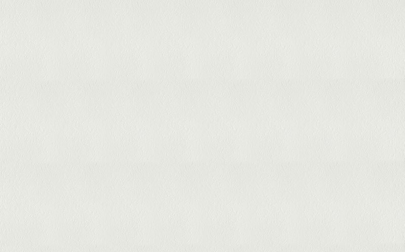 Papier peint vinyle ILITHYA coloris blanc