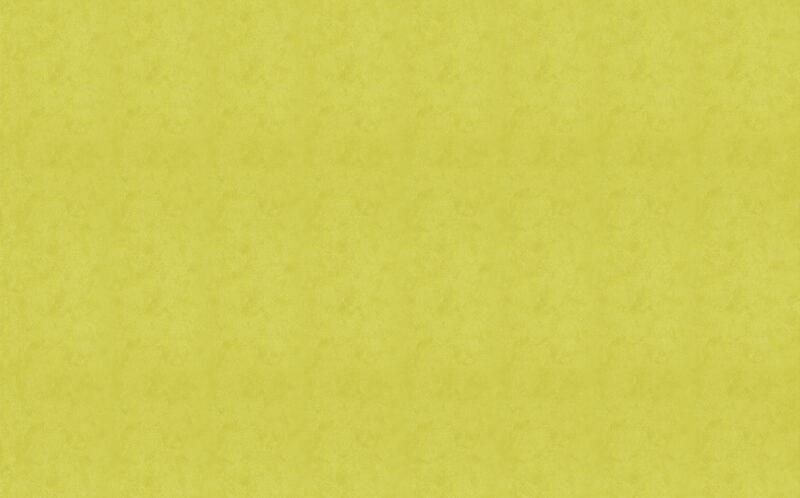 Papier peint vinyle KUMBHAKA coloris vert anis
