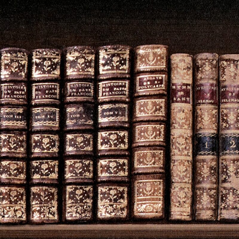 Papier peint BIBLIOTHEQUE coloris wengé