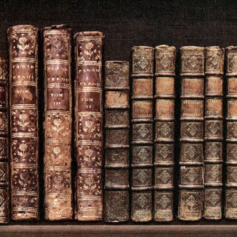 Papier peint BIBLIOTHEQUE coloris wengé