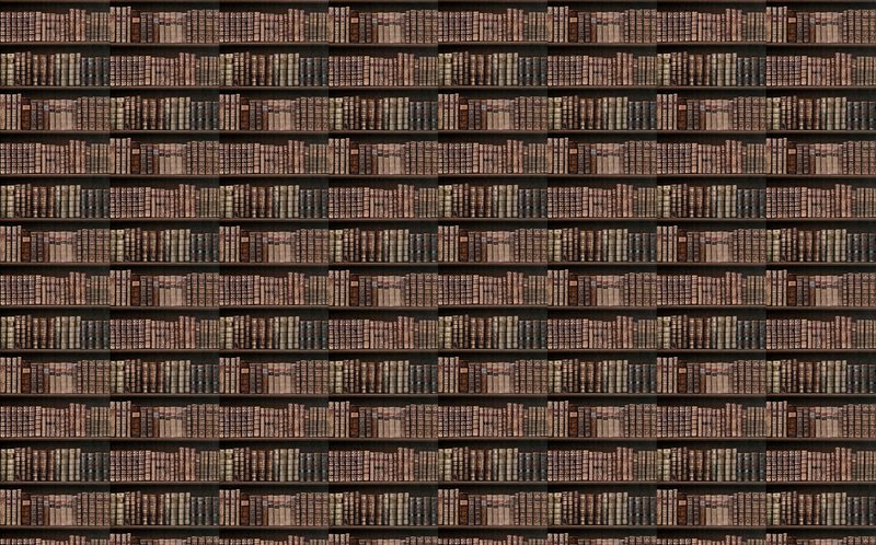 Papier peint BIBLIOTHEQUE coloris wengé