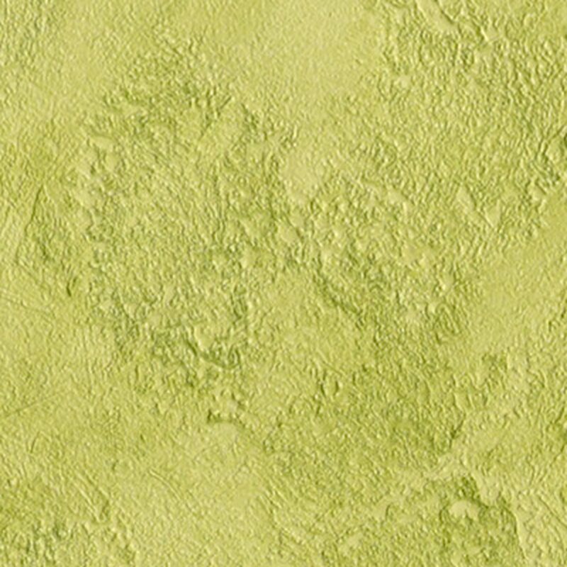Papier peint intissé BAILA coloris vert anis