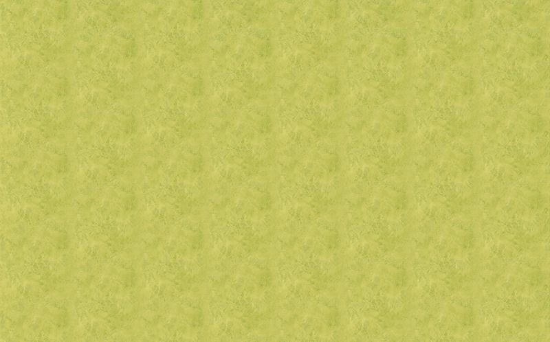 Papier peint intissé BAILA coloris vert anis