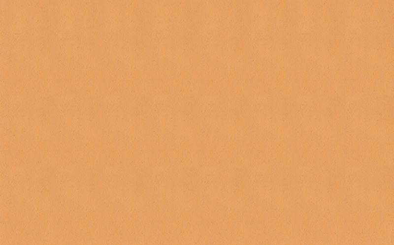 Papier peint vinyle ILITHYA coloris abricot