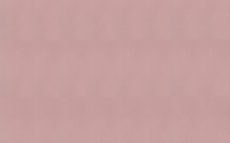 Papier peint intissé INFINITY coloris bois de rose