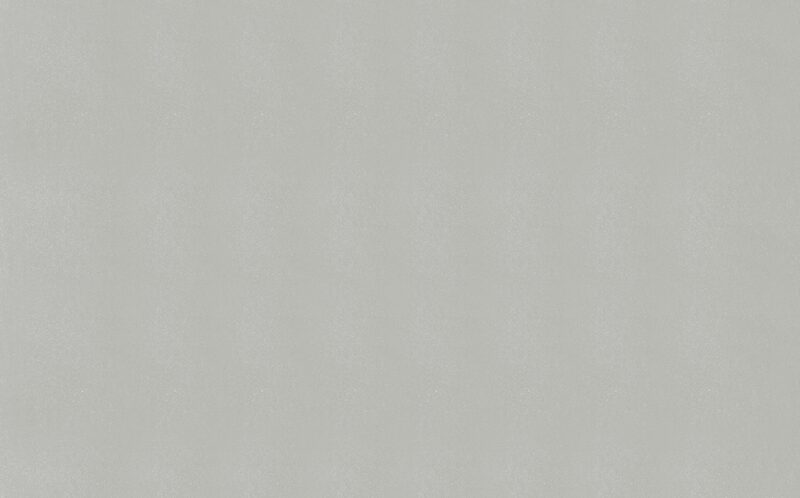 Papier peint HOLLYWOOD STAR UNI coloris gris perle