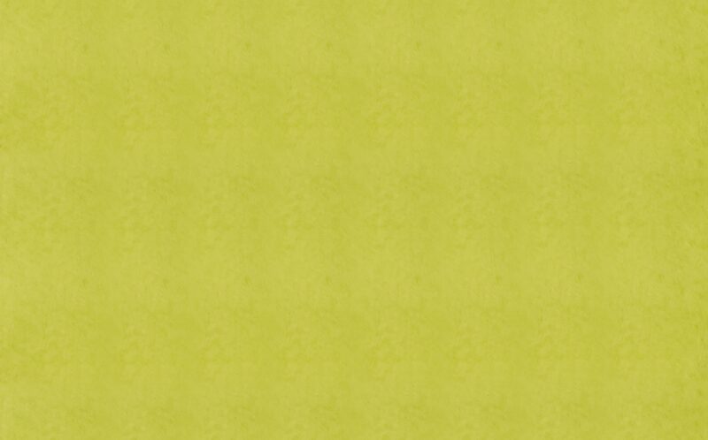 Papier peint VANINA coloris vert bambou