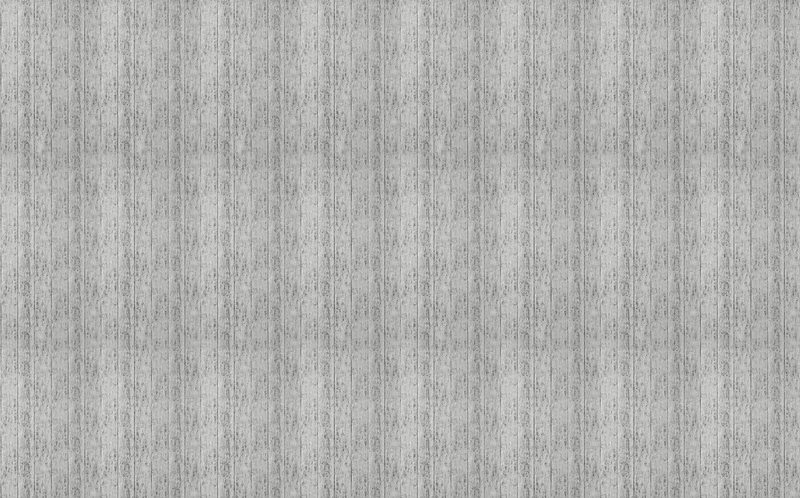 Papier peint vinyle ADVENTURE coloris argent