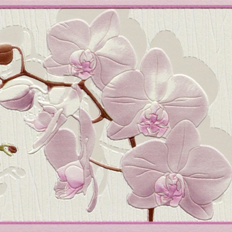 Frise vinyle CATTLEYA coloris blanc