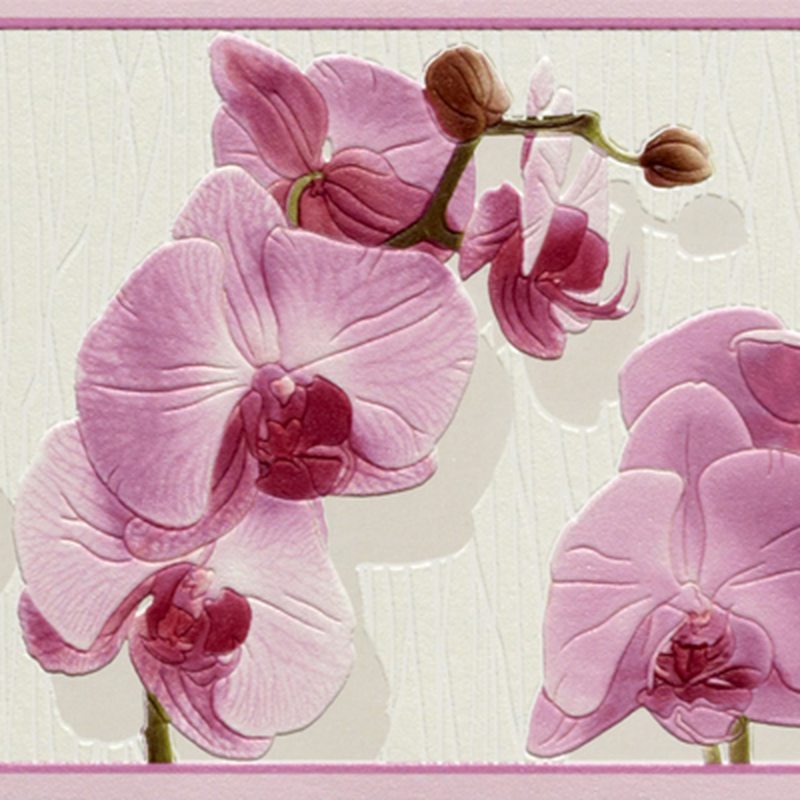 Frise vinyle CATTLEYA coloris blanc