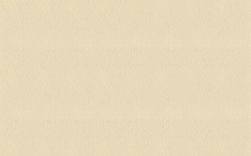 Papier peint vinyle STARTER coloris sable clair
