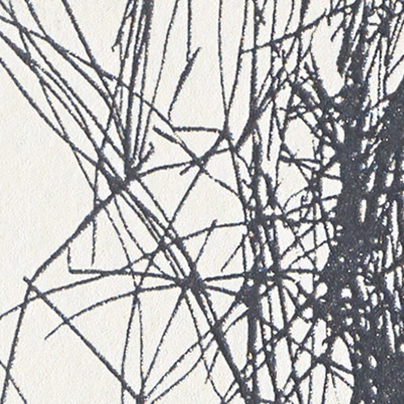 Papier peint intissé EVA coloris blanc