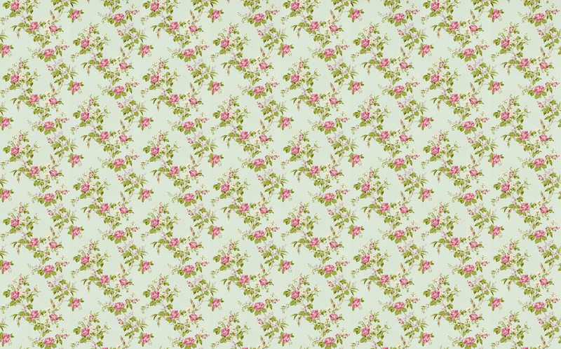 Papier peint intissé COTTAGE GARDEN coloris vert tendre