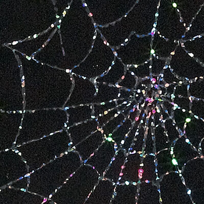 Papier peint intissé COBWEB MOONLIGHT coloris noir