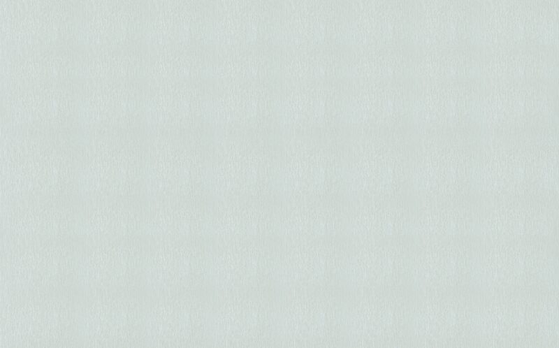 Papier peint intissé EARL coloris gris métallisé