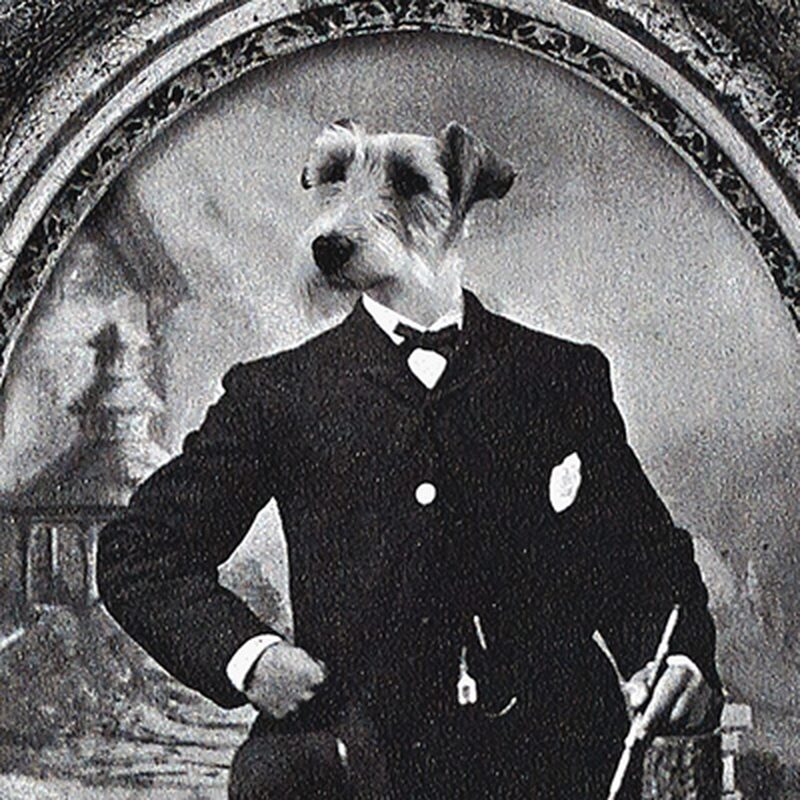 Papier peint ROYAL PORTRAITS coloris noir
