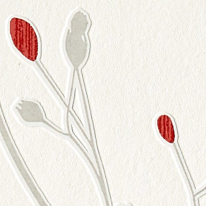 Papier peint intissé AUDACE coloris écru