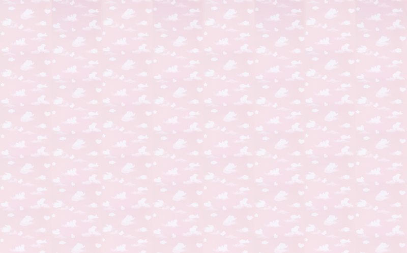 Papier peint IN THE SKY coloris rose pastel